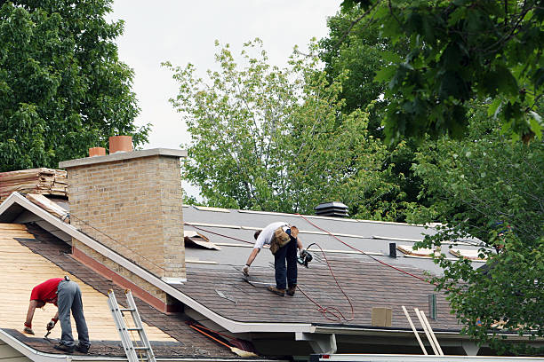 Best Local Roofing Companies  in Lake Holiday, IN