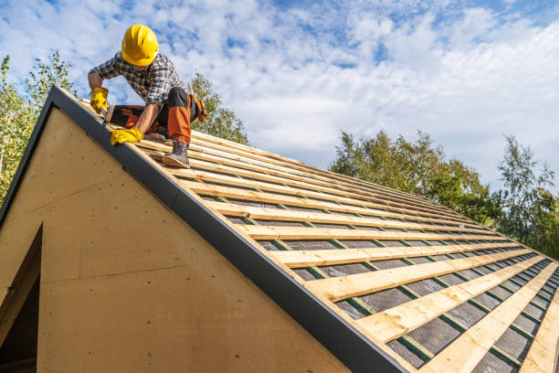 Best Roof Repair Services  in Lake Holiday, IN